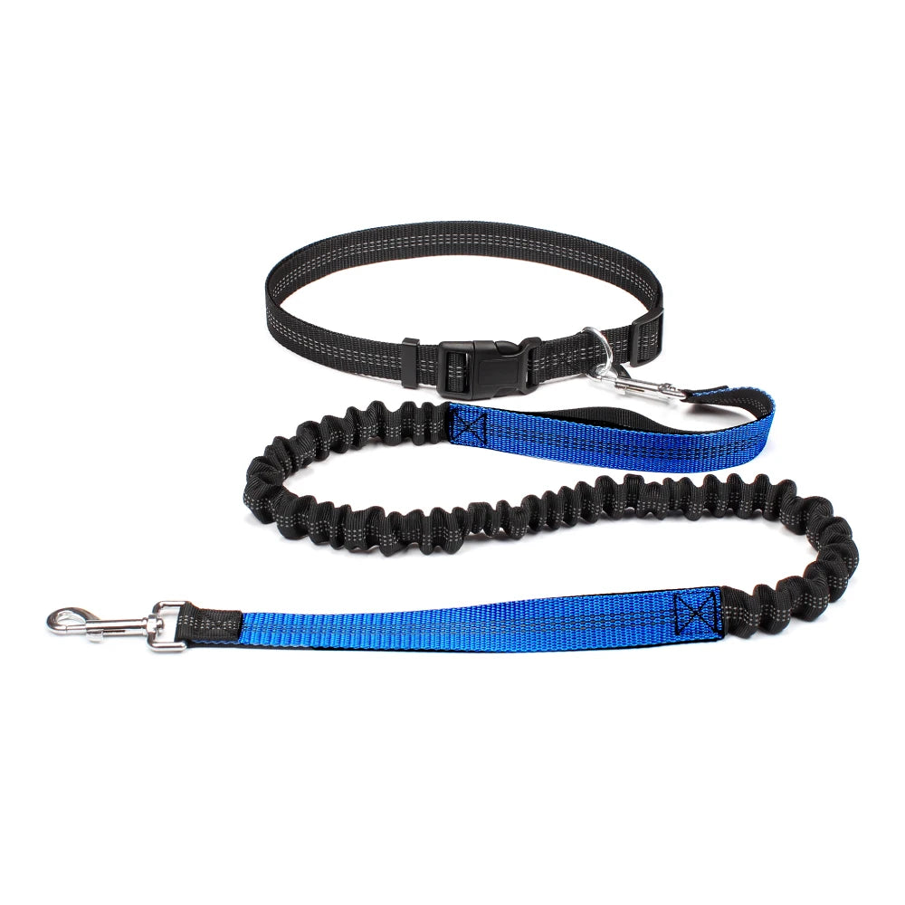 Hand Free Dog Leash